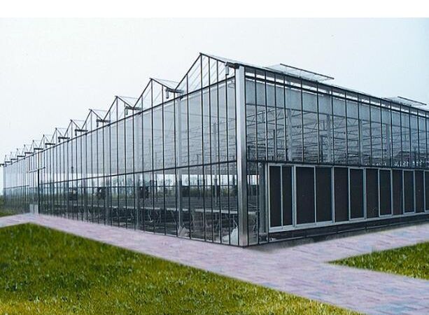 玻璃温室 玻璃温室大棚   玻璃智能温室大棚
