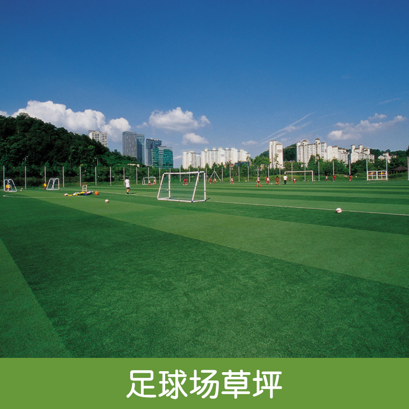 足球场草坪 足球场人造草坪 足球场仿真草 足球场专用草皮
