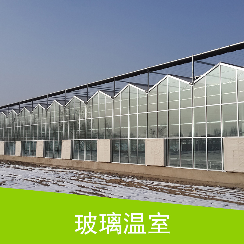 安徽 玻璃温室 连栋玻璃温室大棚 钢结构玻璃阳光房采光生态温室大棚图片