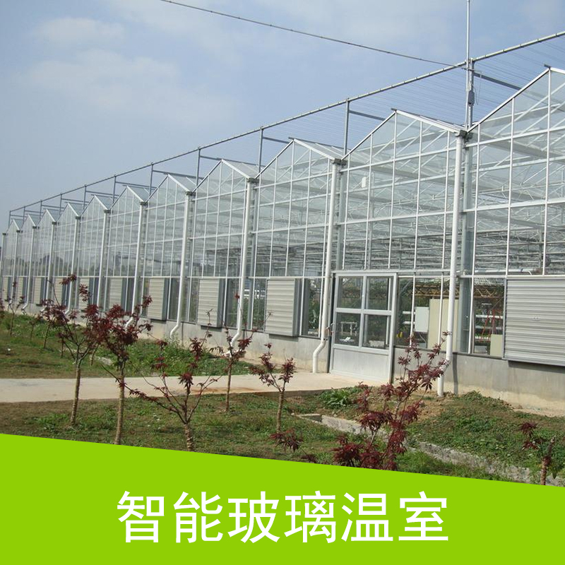 智能玻璃温室 智能温室大棚 连栋玻璃温室大棚 生态农业温室 种植大棚