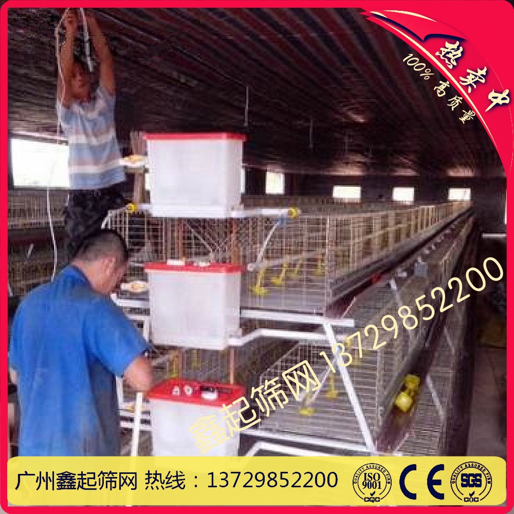 广州鑫起厂家直供产蛋鸡笼镀锌鸡笼