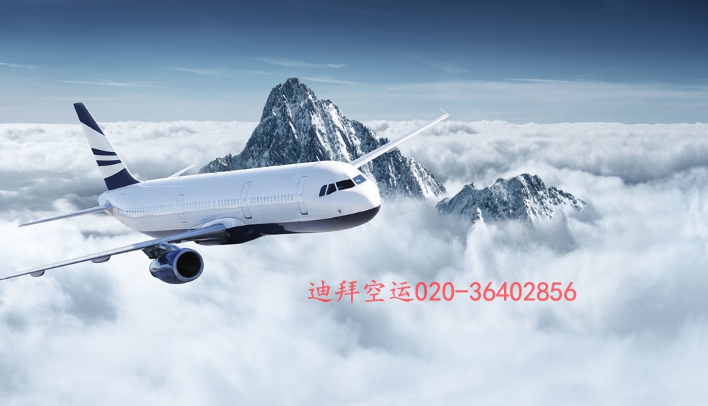 提供广州至迪拜国际空运服务