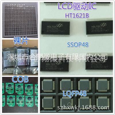 LCD驱动IC HT1621 LCD驱动芯片 LCD驱动芯片厂家 LCD驱动ic