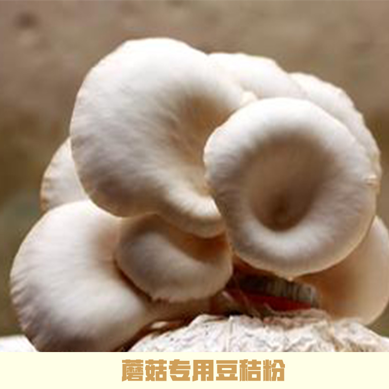 蘑菇专用豆秸粉厂家直销批发