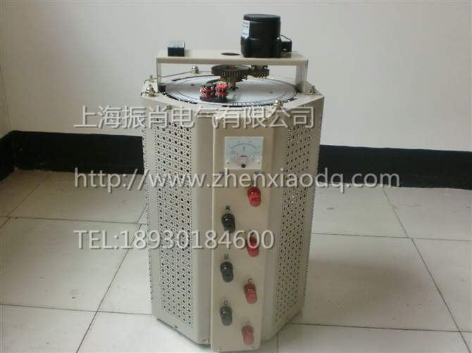 上海市TSGC接触式调压器厂家供应TSGC接触式调压器