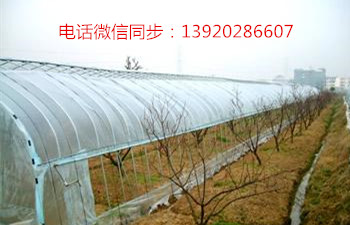 天津批发蔬菜大棚骨架建设13920286607
