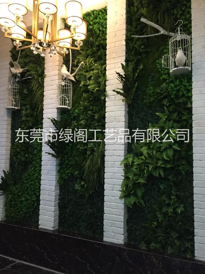 广州植物墙 广州植物墙厂家 广州植物墙订做 广州哪里有植物墙卖图片