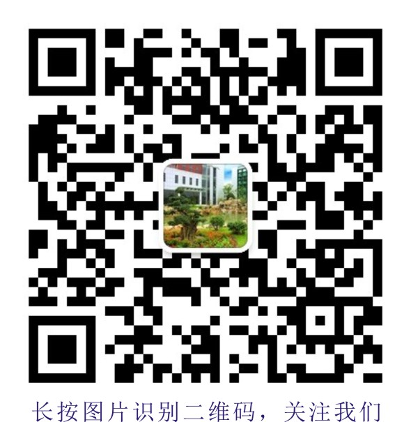 广州植物批发 南沙绿化管理 盆景租摆 栽培绿植租摆图片