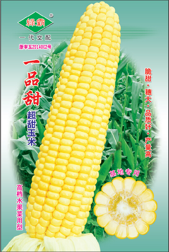 广州市绿霸种苗一品甜玉米种苗批发