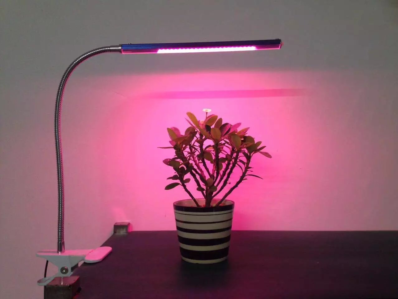 5WLED植物补光夹子灯