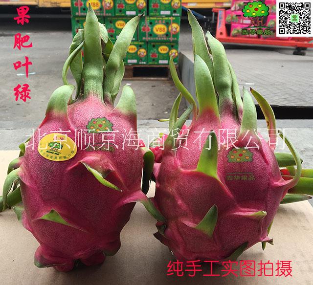 越南进口白心火龙果批发价格超市供货