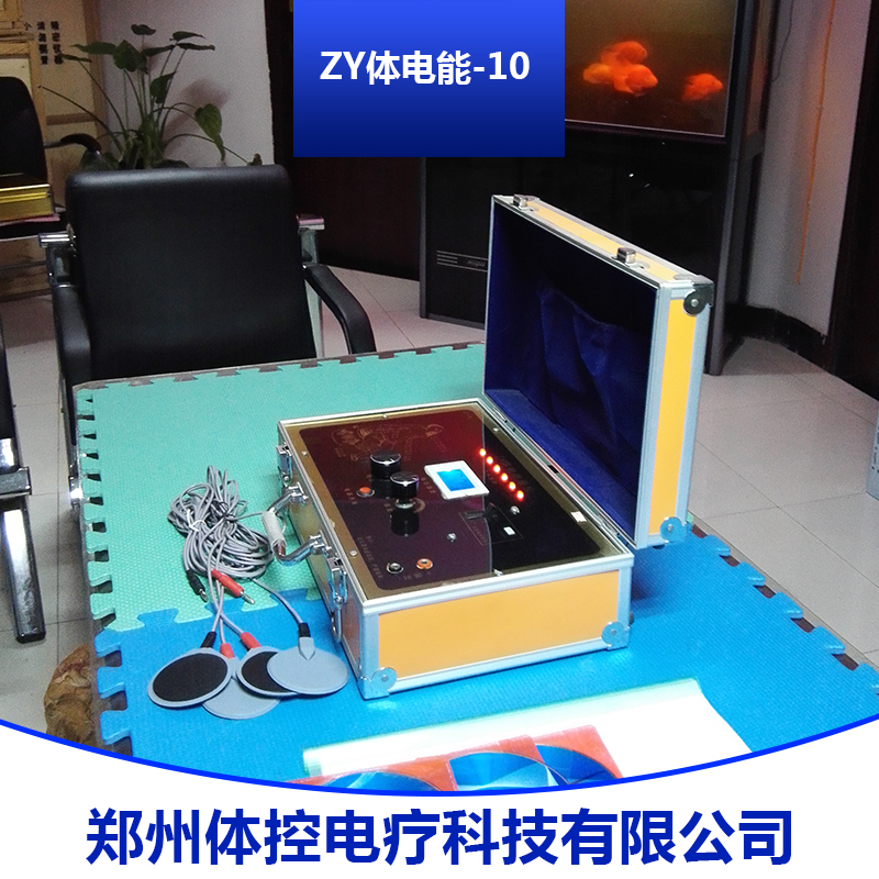 ZY体电能-10 体控电疗仪批发 ZY体电能量仪供应商 体控经络电疗仪价格图片