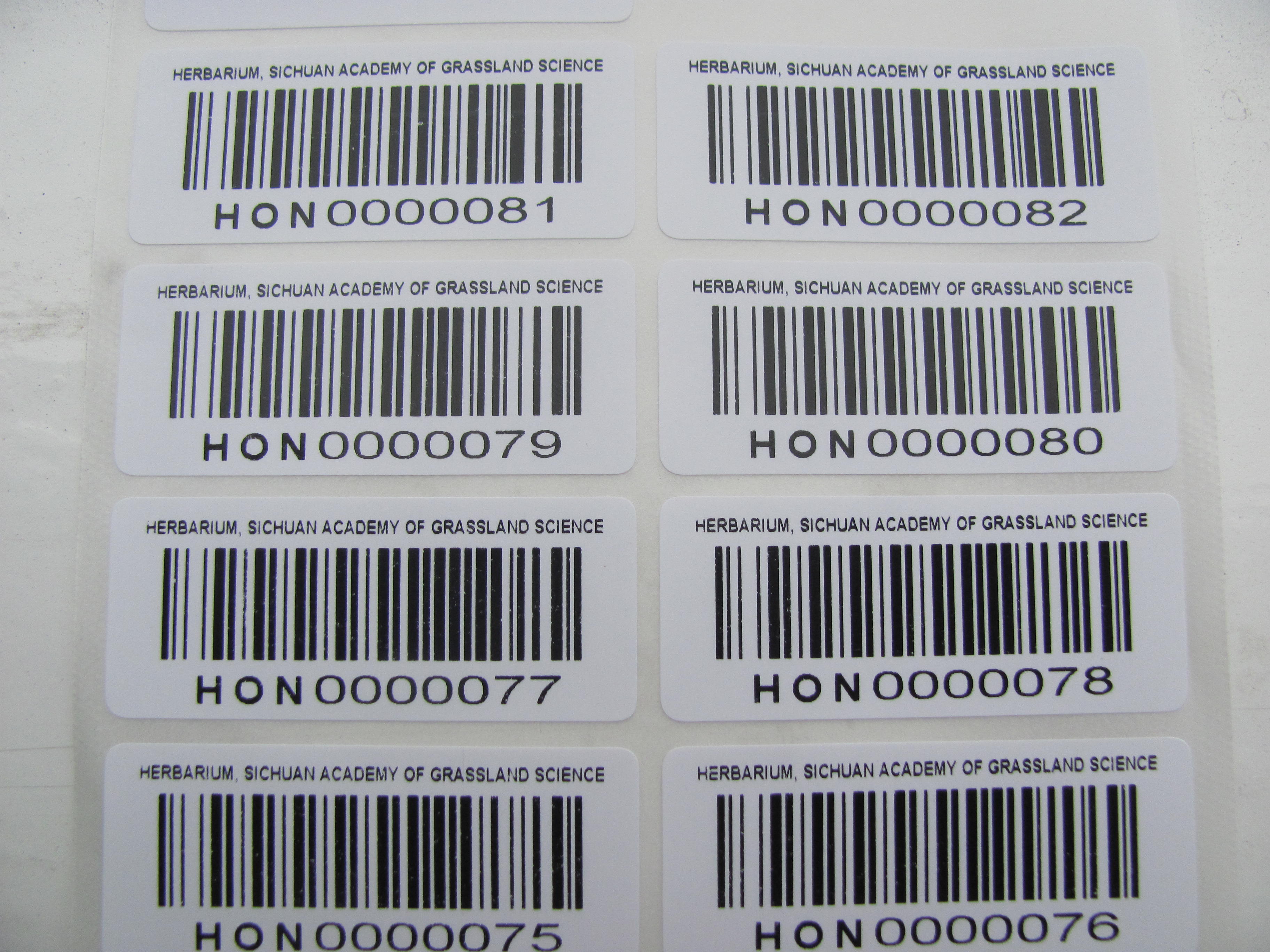 条形码标签制作  流水号标签  打印条形码标签厂家图片