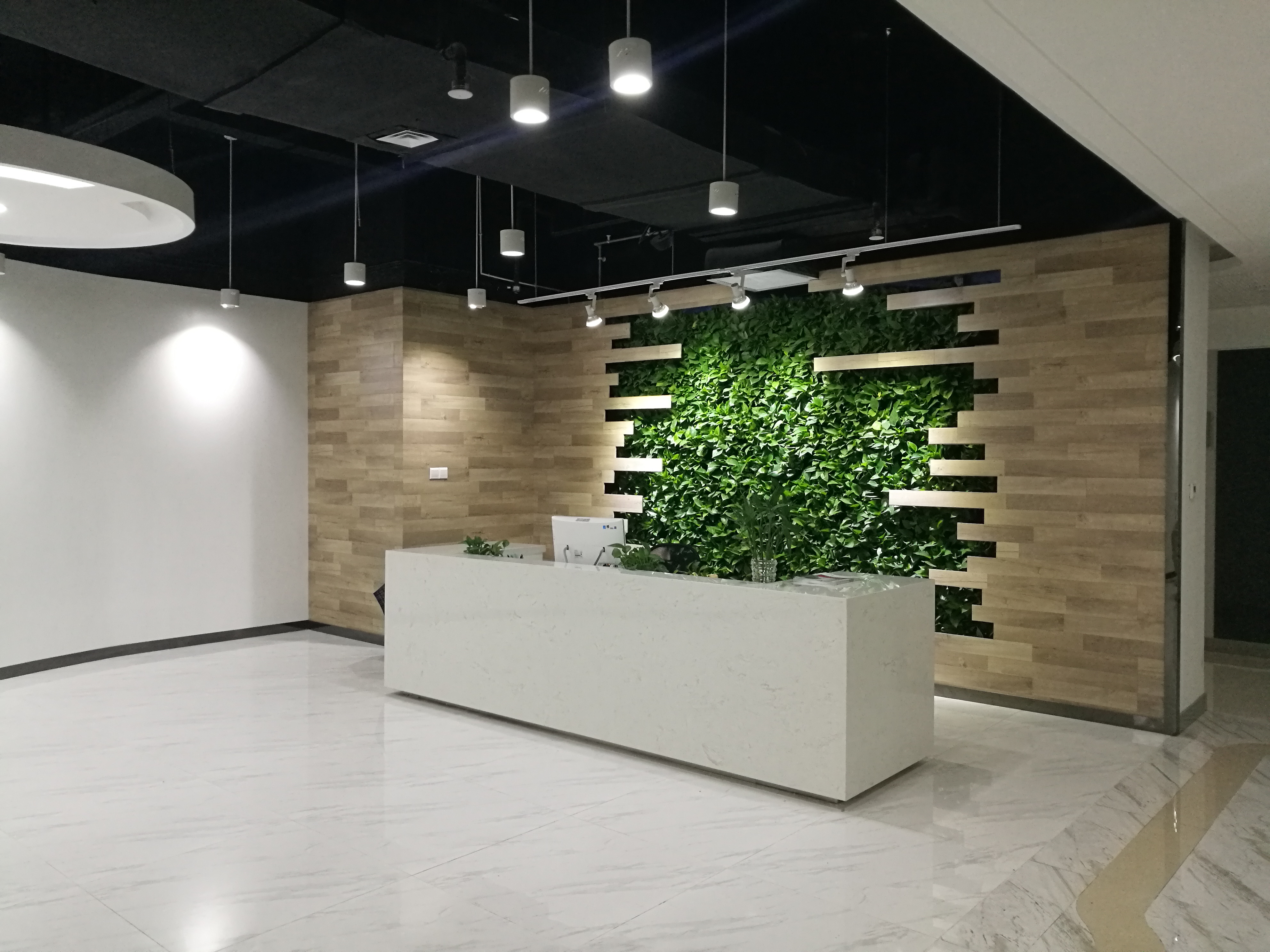 南京室内外植物墙立体绿化垂直绿化做的好
