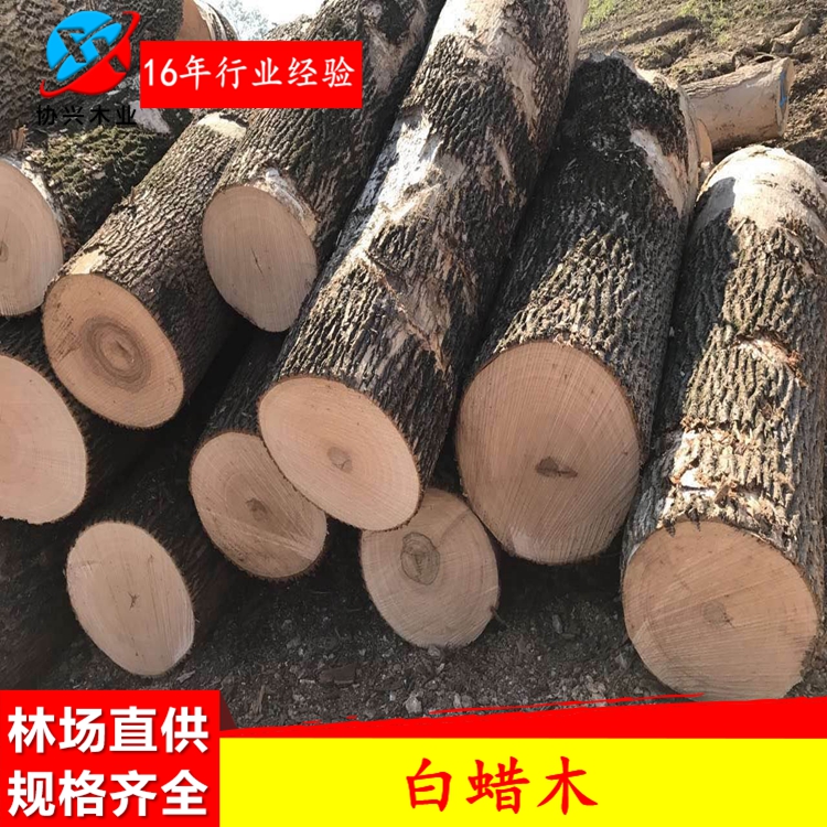 供应欧洲进口优质白蜡木（水曲柳）原木木板材图片