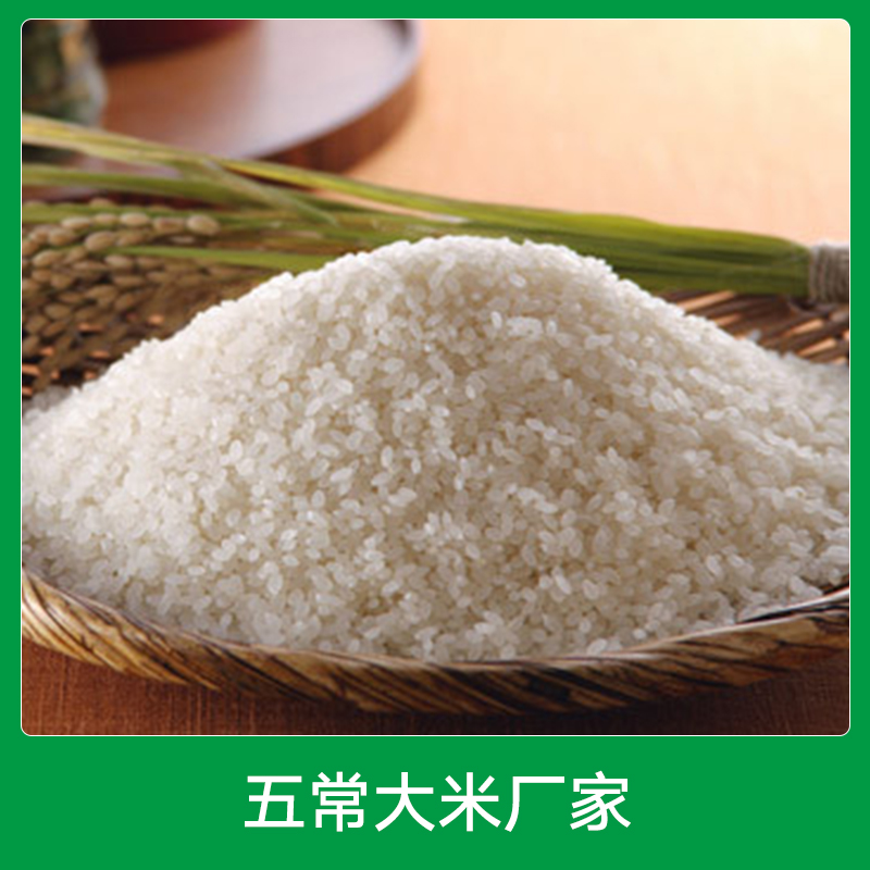 哈尔滨五常大米厂家批发 东北稻花香原态绿色大米加工 大米供应商图片