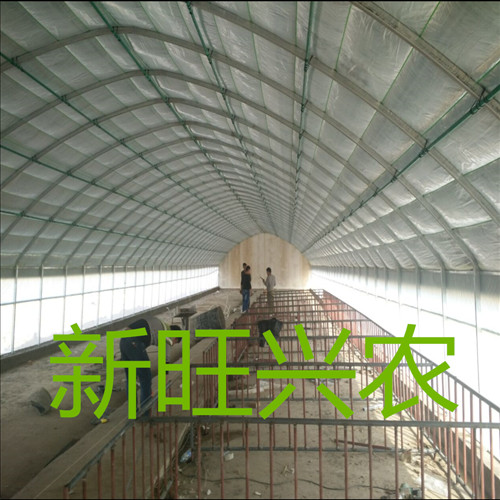 河北新旺兴农种植大棚建设生产厂家8622大棚骨架多样化