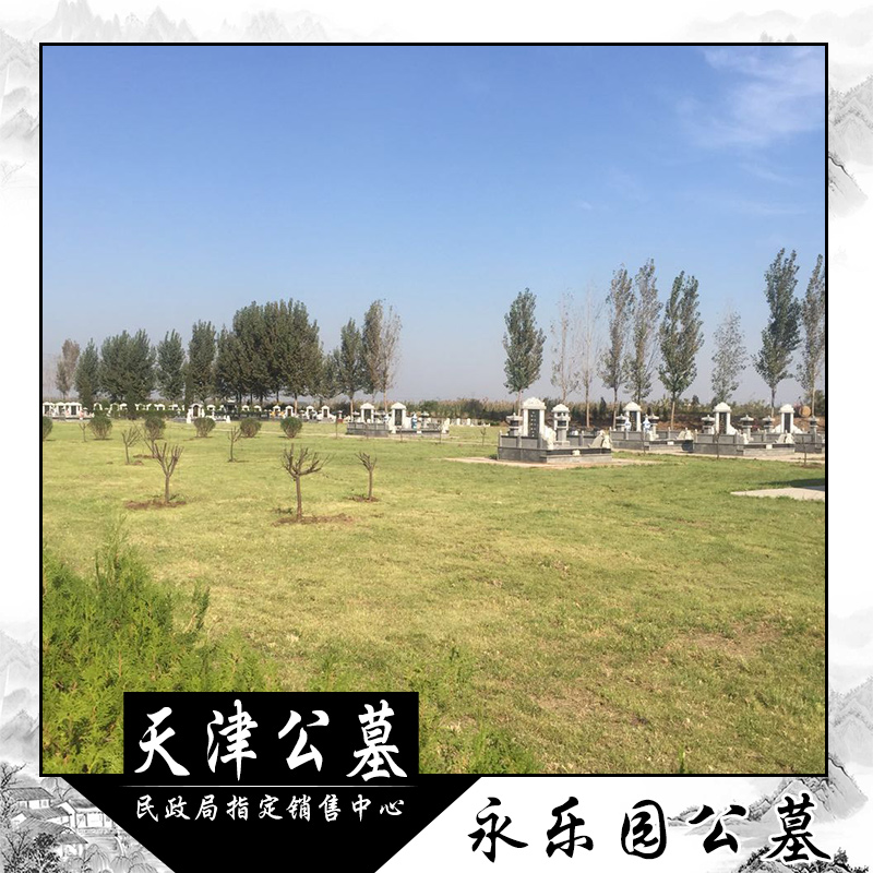 天津市永乐园公墓网销售价格报价便宜欢迎选购 墓地坟墓墓碑定制电话图片