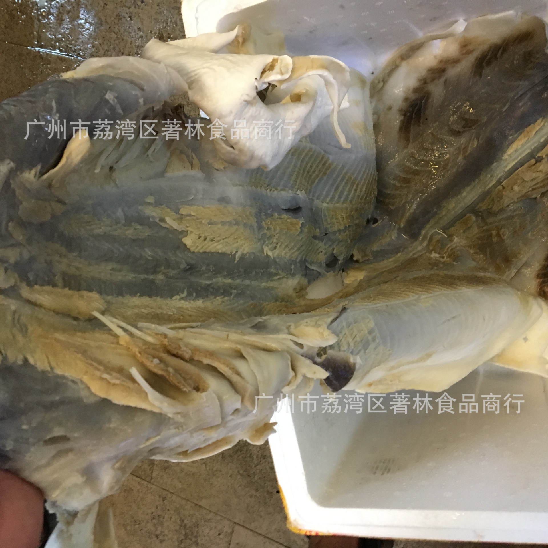 广州市鲨鱼皮 深海鱼皮厂家【著林】鲨鱼皮 深海鱼皮 深海水产冷冻产品 优质优量 长期供应