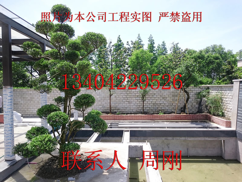 供应苏州景观绿化公司苏州庭院设计