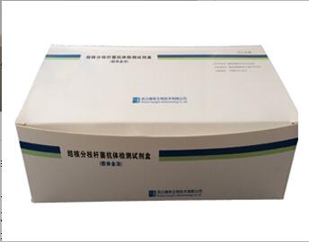 结核分歧杆菌抗体检测试剂盒