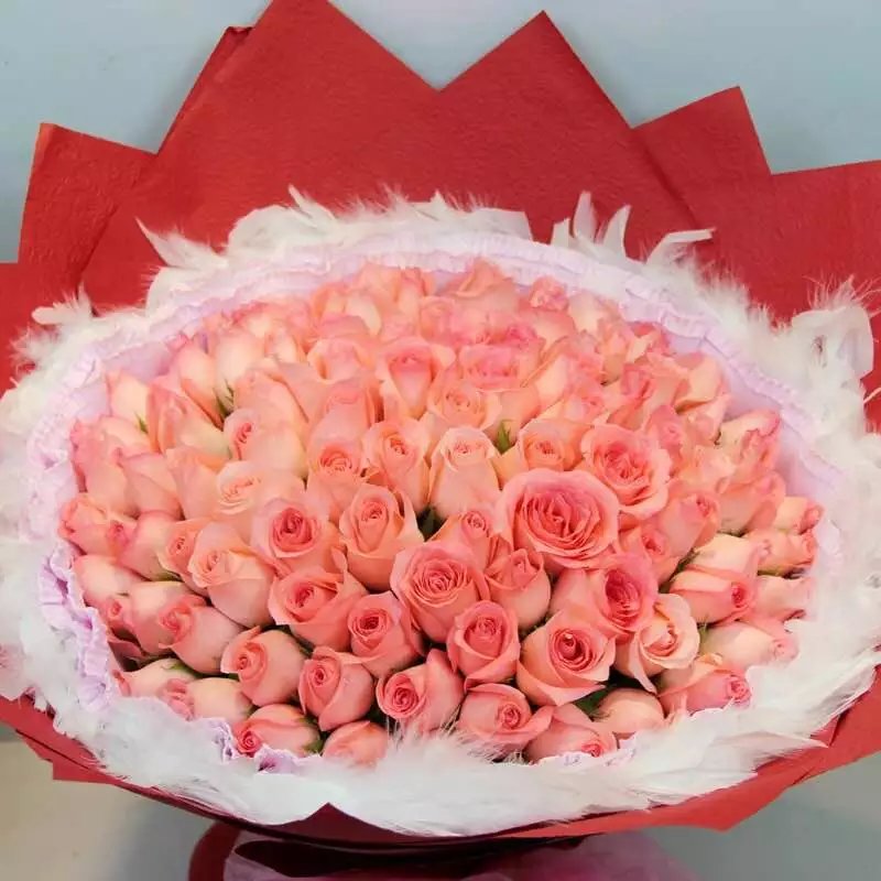 99朵戴安娜玫瑰求婚花束生日花束送爱人送老婆图片