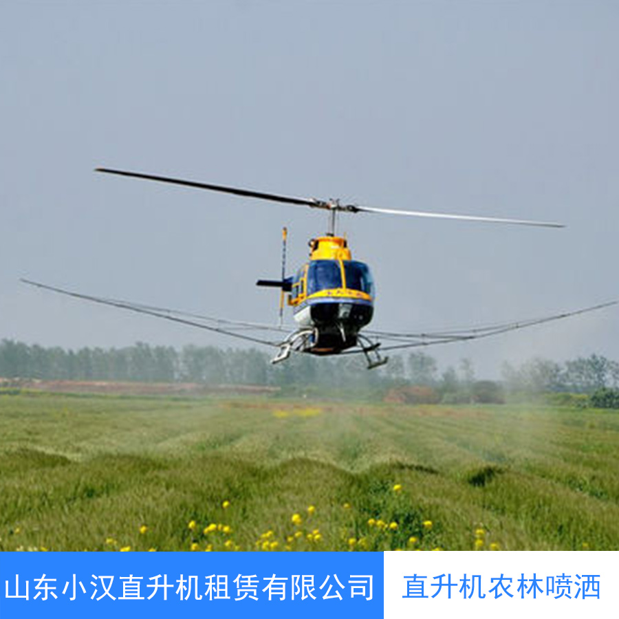 泰安直升机喷洒 婚礼旅游图片