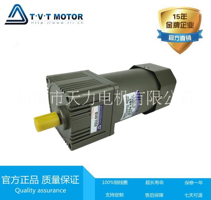 TVT 120W定速电磁刹车电机定速刹车电机-减速电机厂家5IK120GU-C