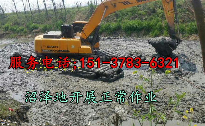 荆州市水陆挖机出租生产厂家厂家