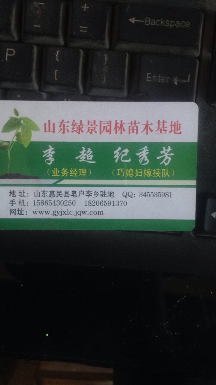 滨州绿景园林绿化公司
