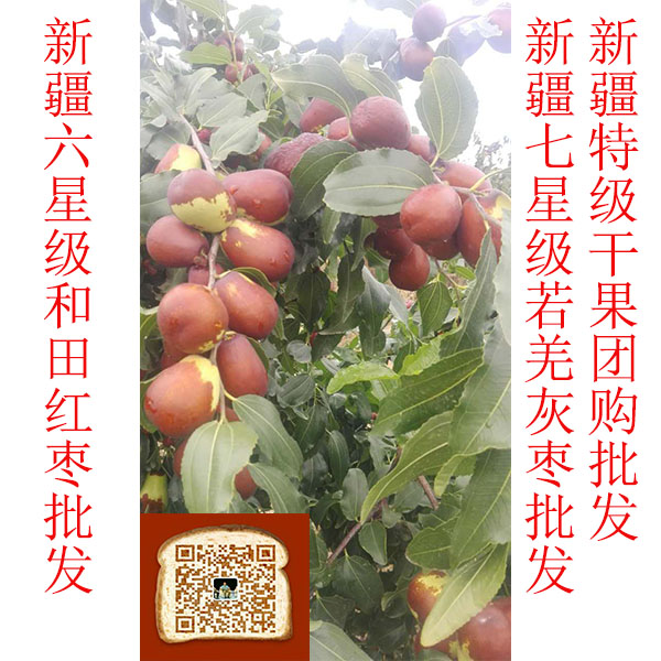 深圳市今年新疆红枣的价格 贵族的享受 平民的价格.深圳图片