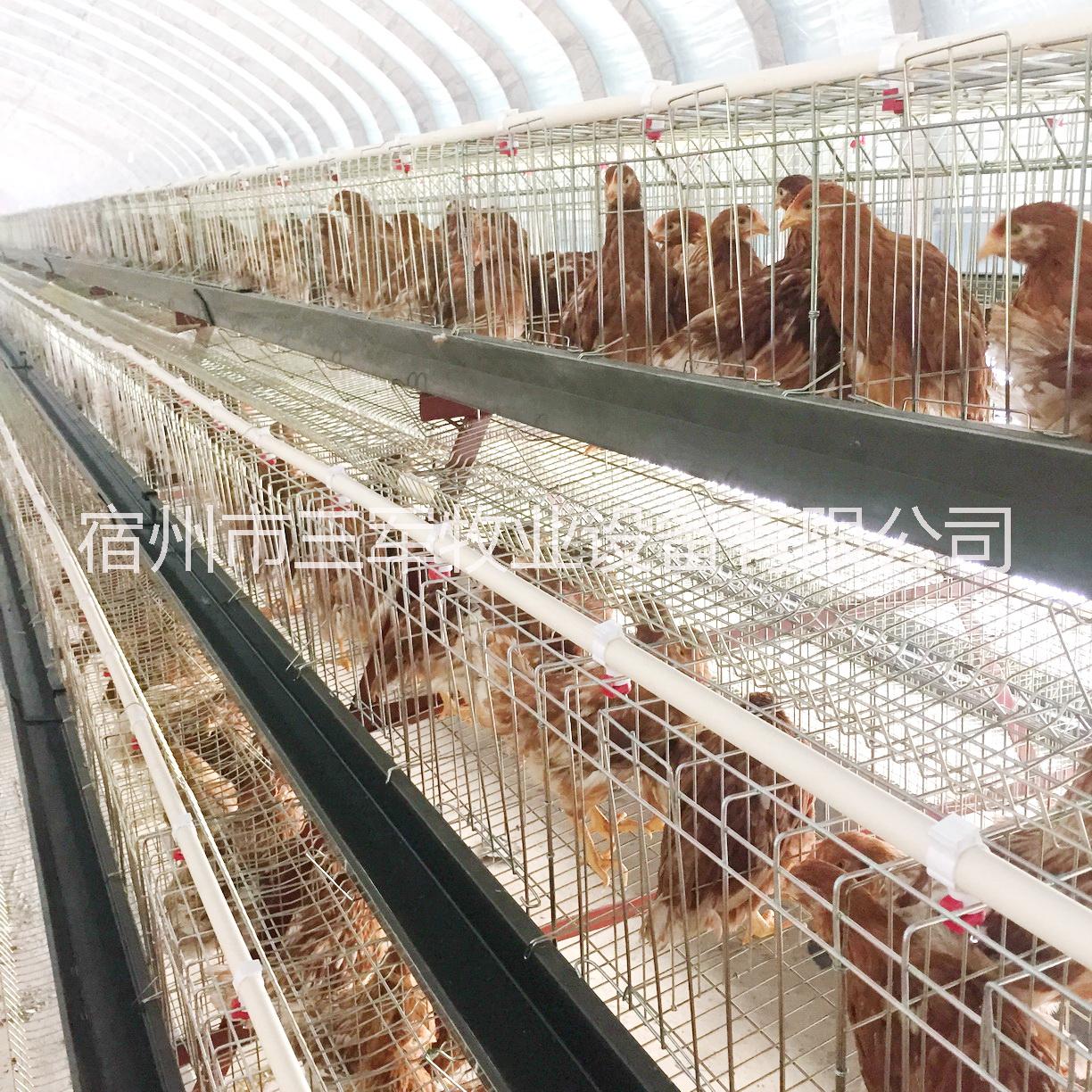 阶梯式成套蛋鸡笼 三军牧业厂家直销 高强度养殖场鸡笼 组装图片