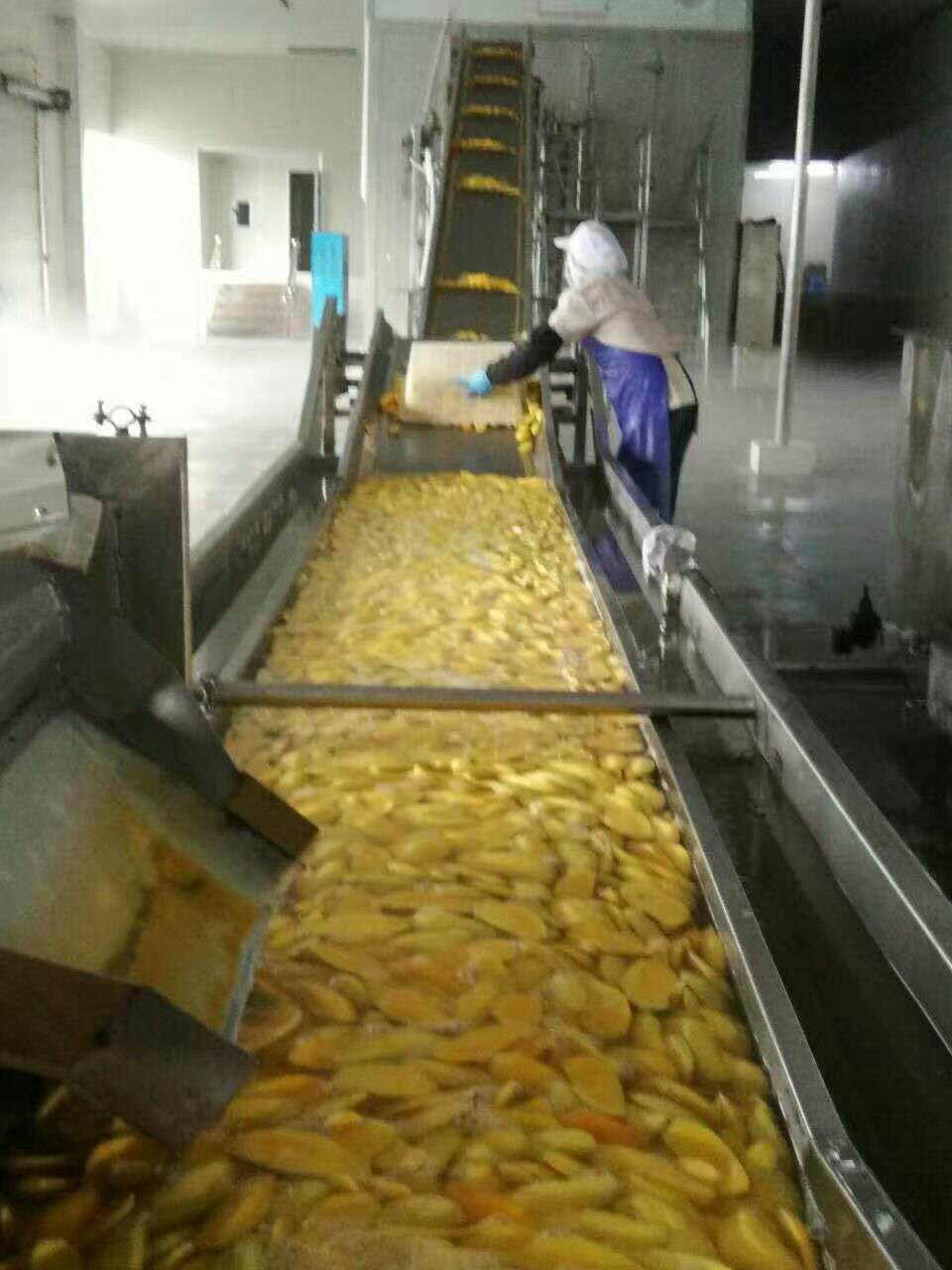 漳州市芒果丁厂家速冻芒果丁，优质新鲜水果，厂家直销