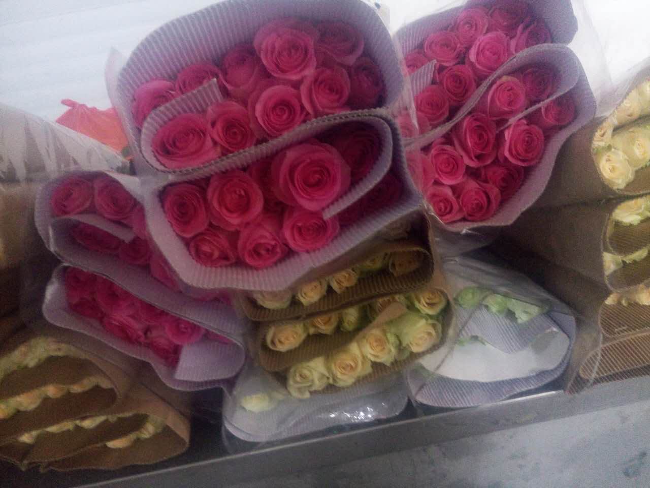 昆明市玫瑰鲜花厂家