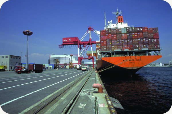 国际货运代理 专注非洲尼日利亚批发