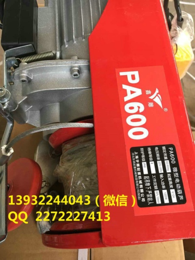 PA1000微型电动葫芦坏了维修