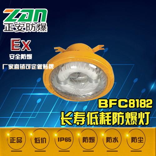 BFC8182防爆照明灯正安直销BFC8182防爆照明灯 电磁感应隔爆型防爆灯