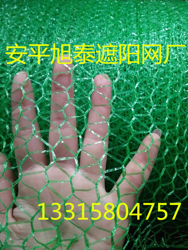 遮阳网防雹网防鸟网防护网球网批发