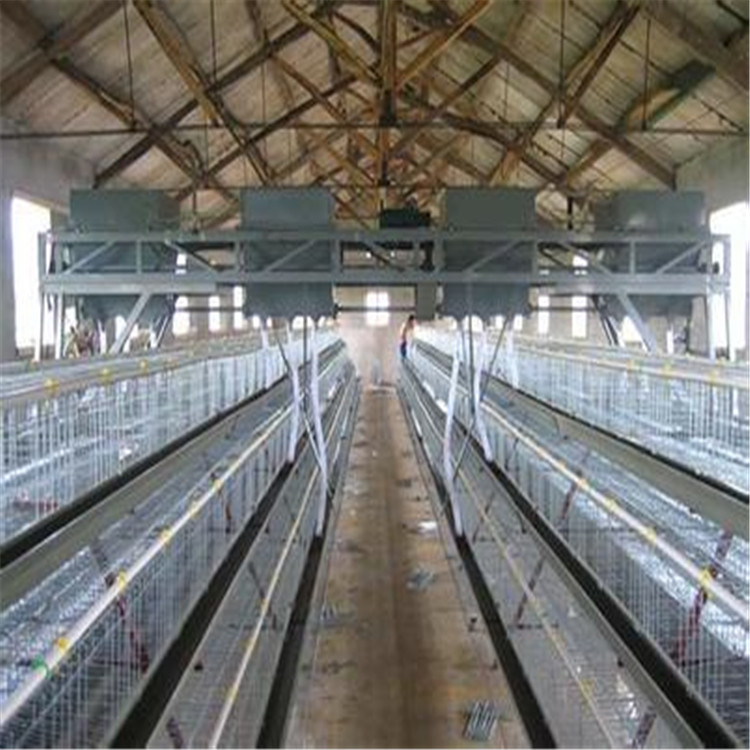 蛋鸡养殖笼 三层阶梯式蛋鸡笼