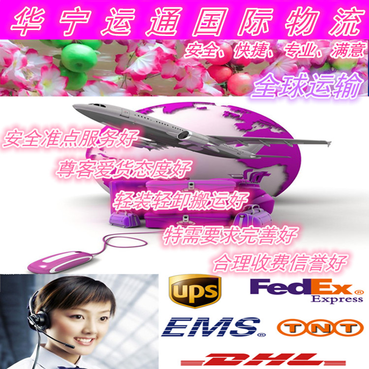 深圳到美国国际快递食品茶叶电池