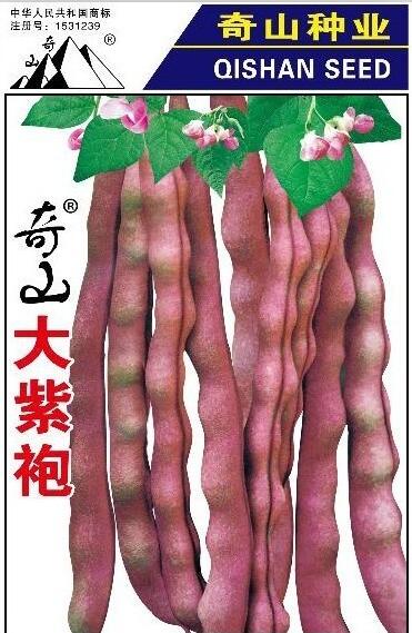 内江市紫龙架豆种子厂家