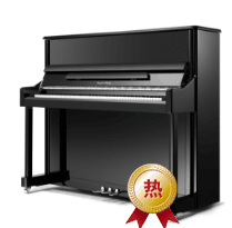 信阳市信阳珠江钢琴厂家珠江钢琴，恺撒堡钢琴，里特米勒钢，民族乐器、鼓号队 信阳珠江钢琴