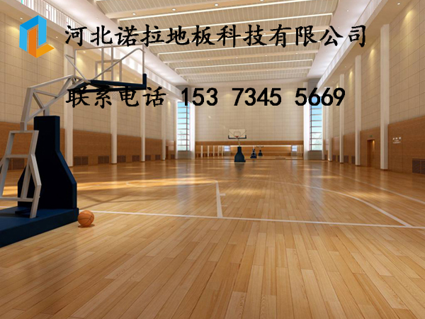 篮球馆pvc地板 篮球馆运动地板