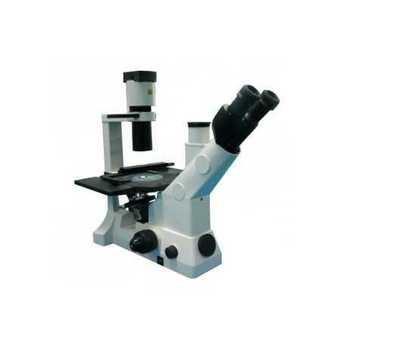 奥林巴斯CKX31，正置显微镜图片