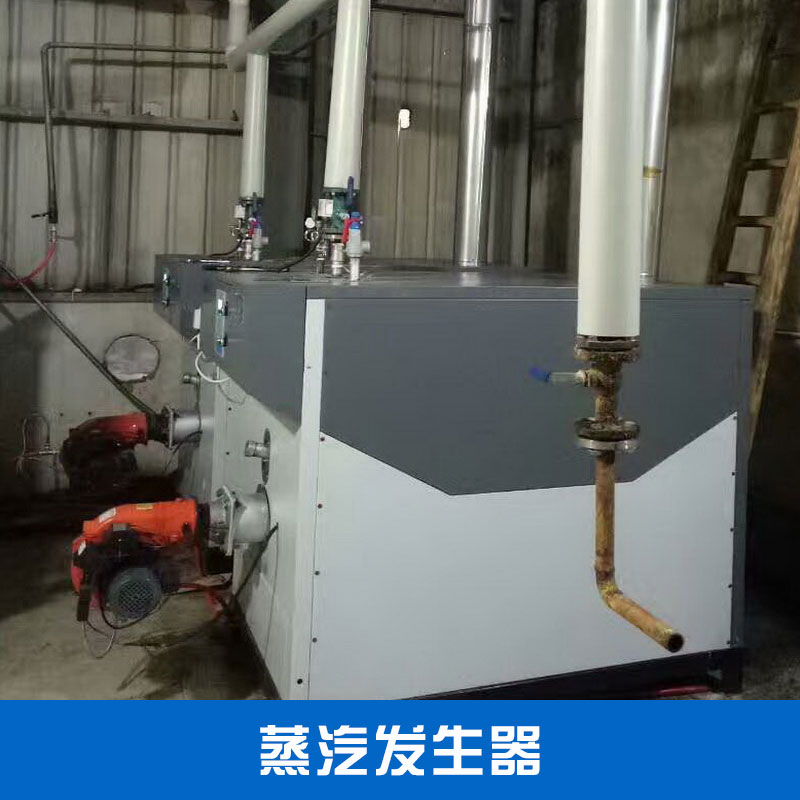 青岛市蒸汽发生器厂家青岛海力新能科技小型燃气蒸汽发生器节能环保工业燃气锅炉蒸汽发生机
