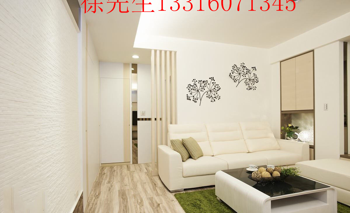 广州厂家定做欧式家庭沙发、茶几图片