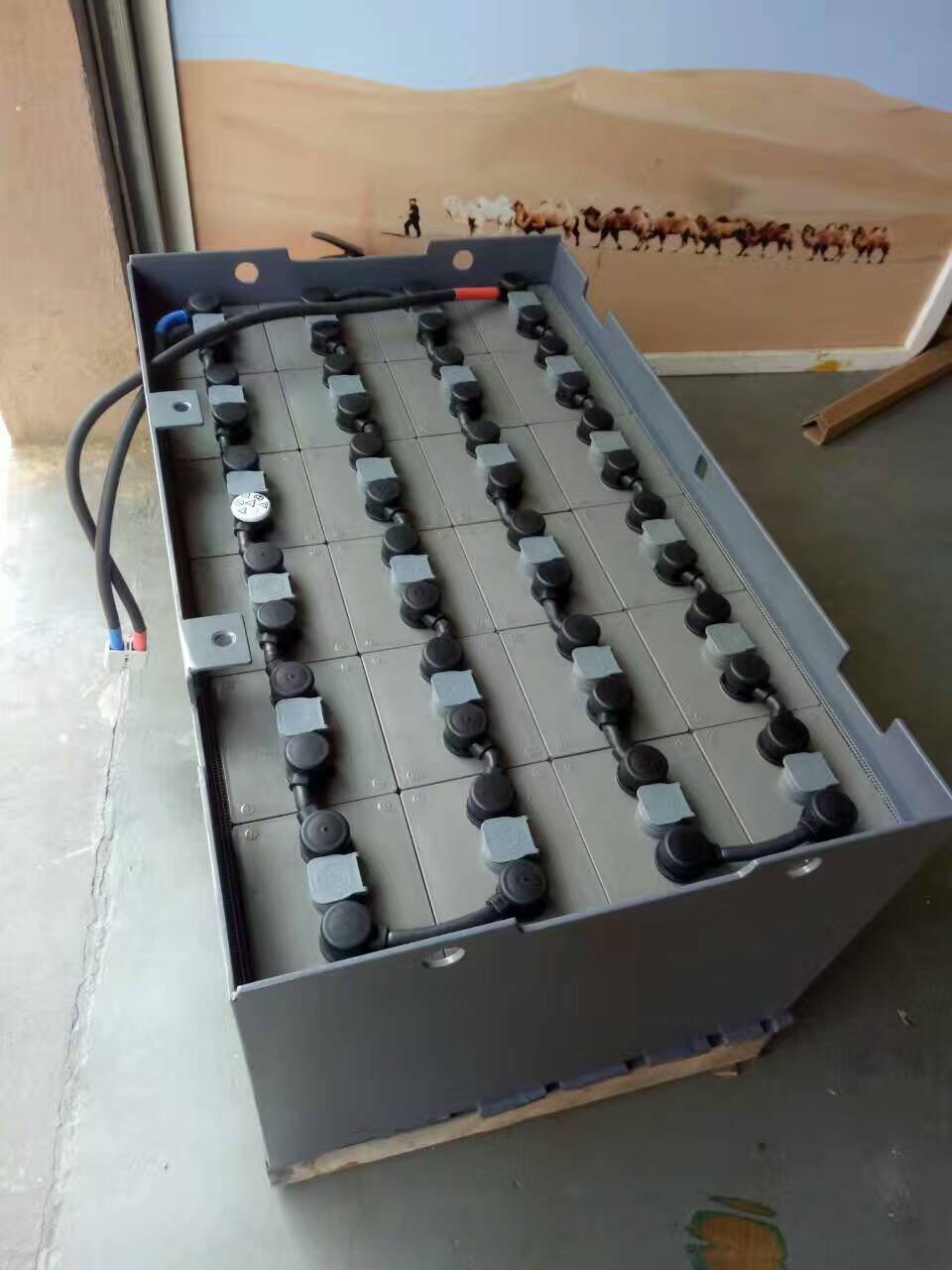 上海市直销骆驼叉车蓄电池 电动蓄电池厂家