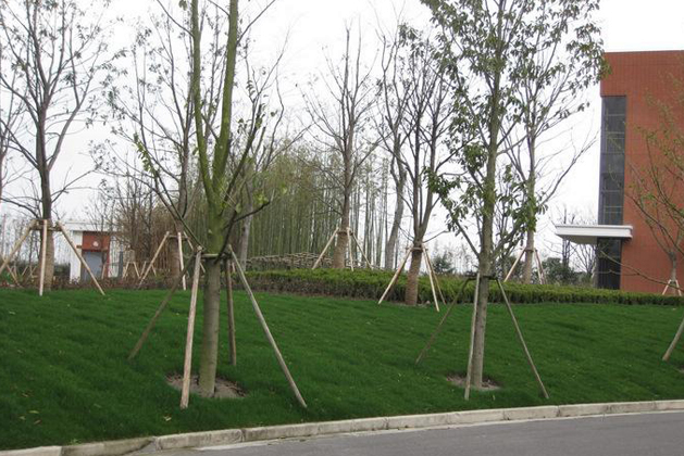 甘肃园林绿化   园林景观设计