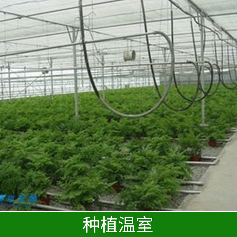 贵州种植温室∣贵阳种植温室∣遵义种植温室-邯郸市鑫凯农业科技有限公司