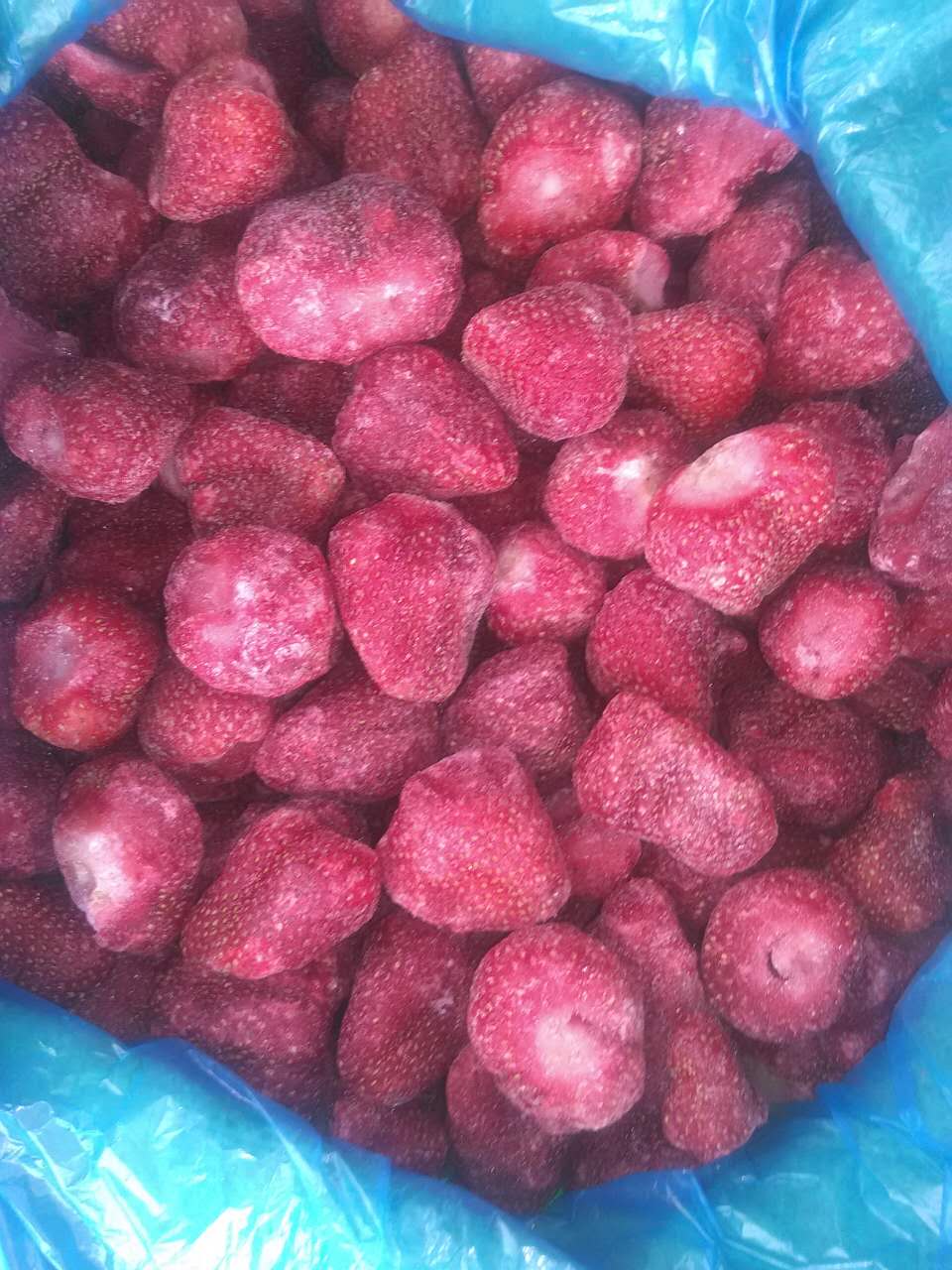 莱州市速冻草莓批发   速冻杏供应